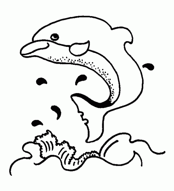 dibujo de delfin dibujo de delfin