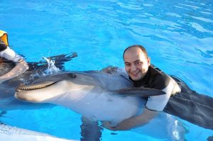 nadar-delfin