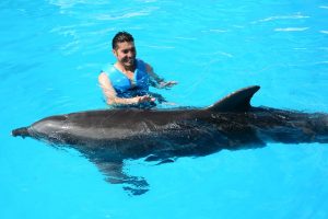nado con delfines